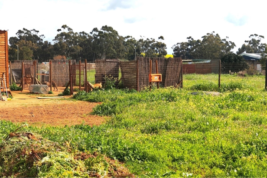0 Bedroom Property for Sale in Moorreesburg Rural Western Cape